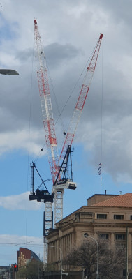 20240818_crane 4  1.jpg