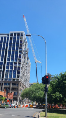 20241019_waymouth crane.jpg