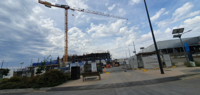 20241116_tonsely crane 3.jpg