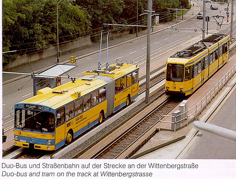 trams  & buses Wittenberg.jpg