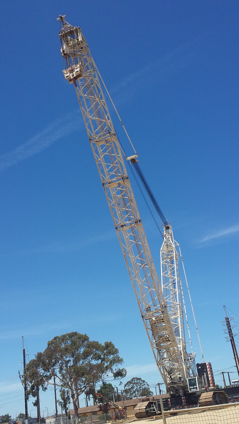 20161126_crane.jpg